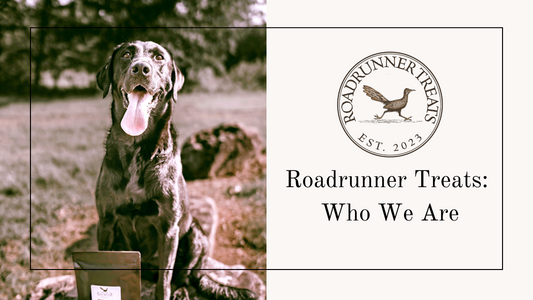 Welcome To Roadrunner Treats: Who We Are