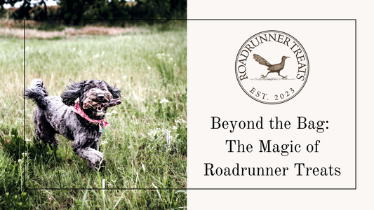 Beyond the Bag: The Magic of Roadrunner Treats