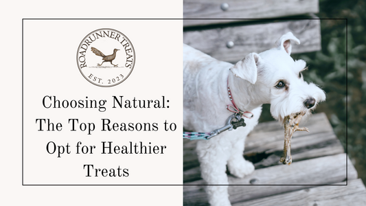 Choosing Natural: The Top Reasons to Opt for Healthier Treats