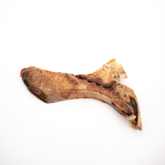 Beef T-Bone Chew